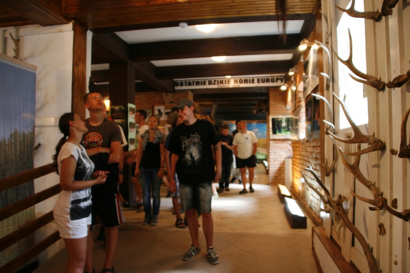 Muzeum przyrodnicze Stacji znajduje się w zabytkowych spichlerzu z XVIII wieku