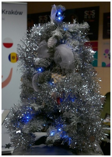 FOTO 01